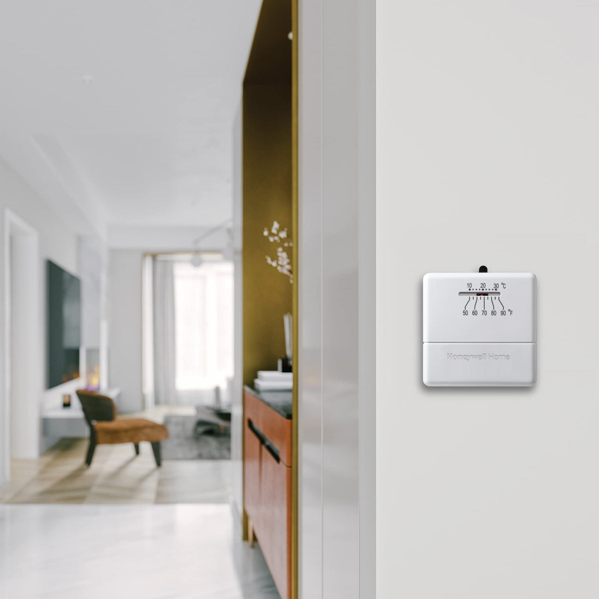 CT30A1005 back plate with decorative design for mounting