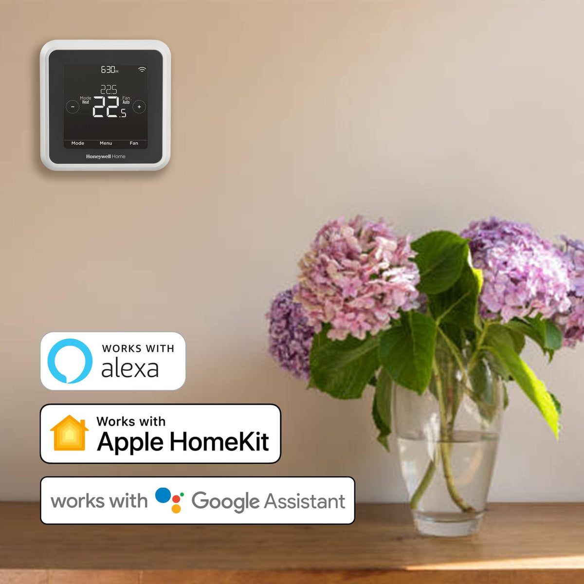 Setup guide display for Honeywell Home T5 installation steps.