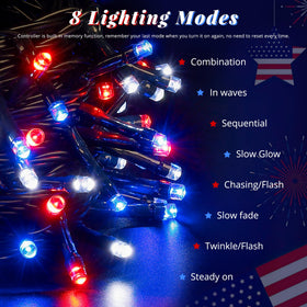 Hopolon flag day and Christmas celebrations glow with vibrant colors