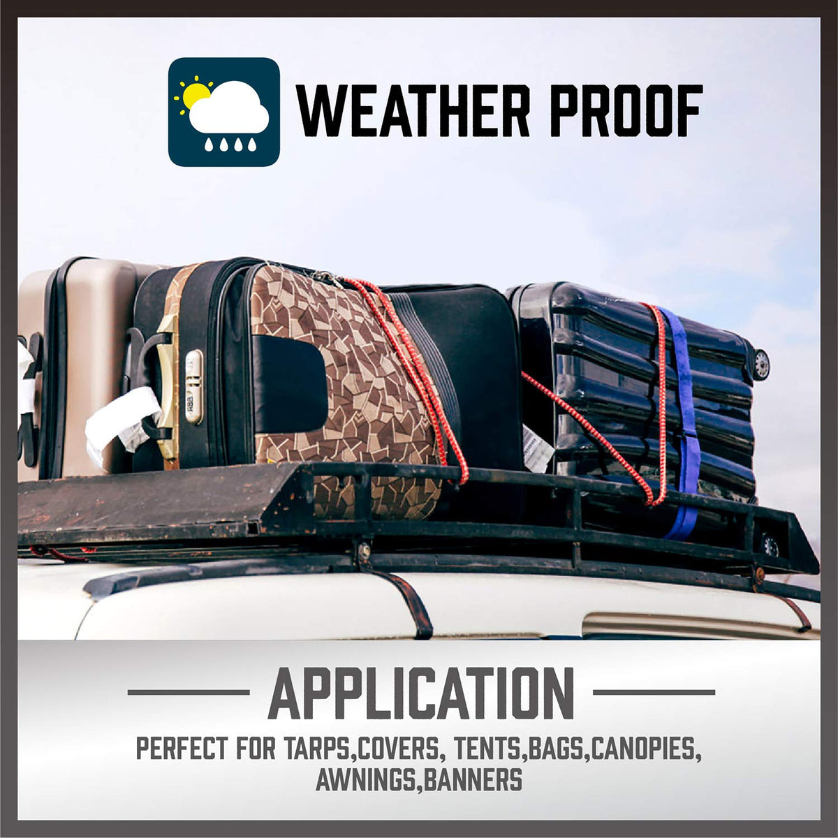 HORUSDY crocodile mouth tarp clip clamps tarps securely