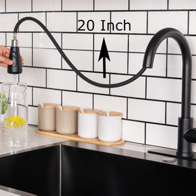 HOTIS HOME matte black finish on kitchen faucet resists rust and tarnish