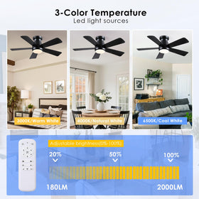 Hounberi reversible motor enables summer cooling and winter air circulation.