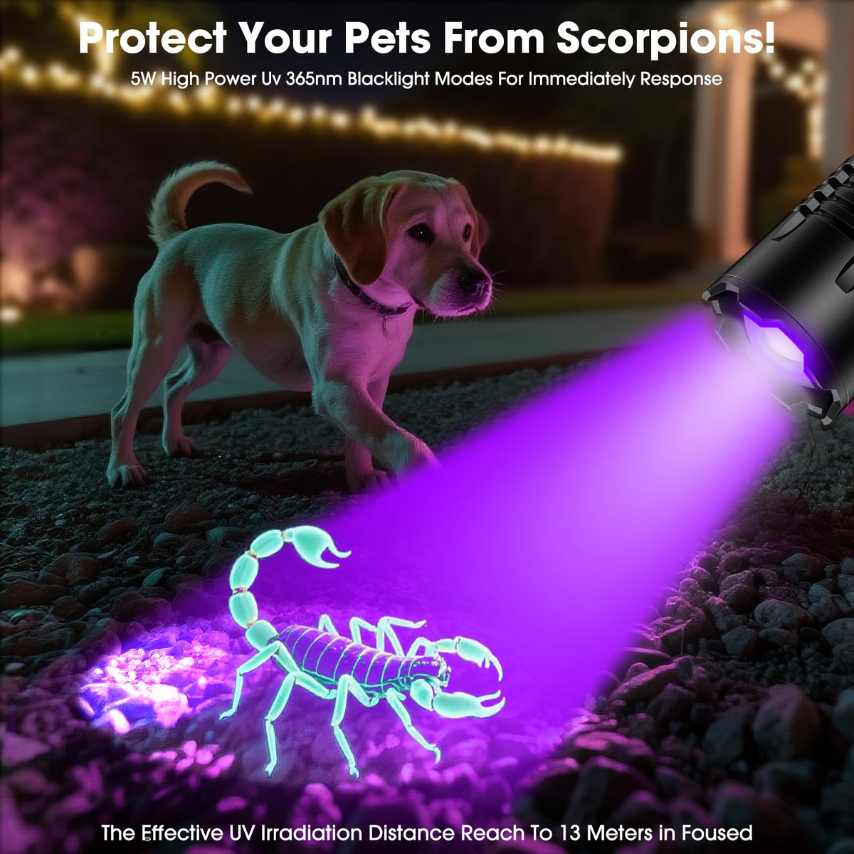 Hoxida UV flashlight features two-switch controls for UV and white light.