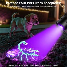 Hoxida UV flashlight features two-switch controls for UV and white light.