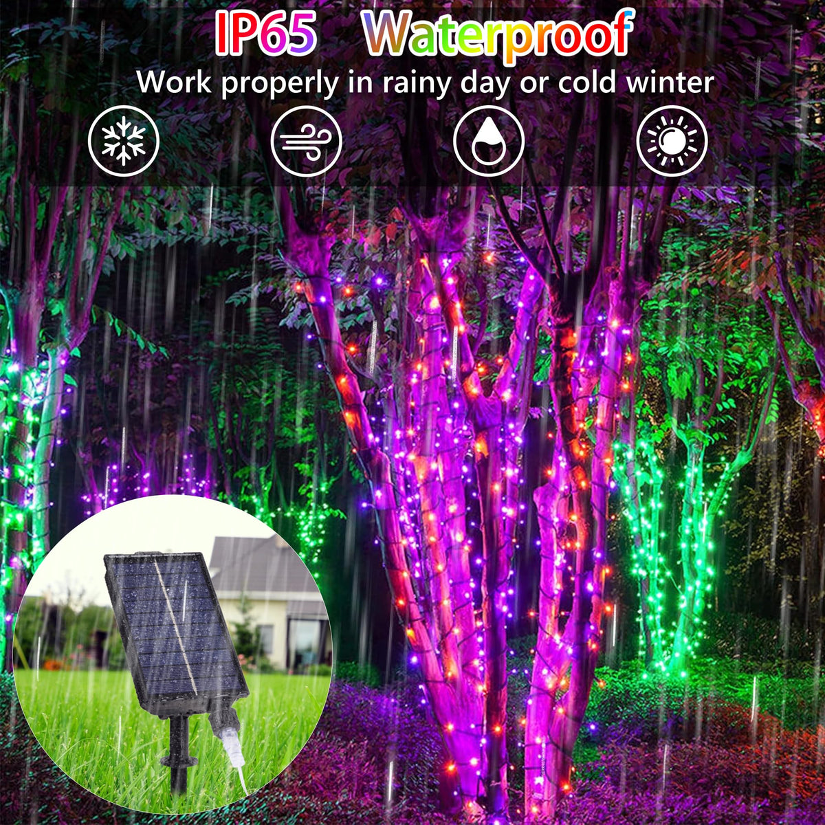 Hozplex dynamic modes include fade, jump, and twinkle for ambiance.