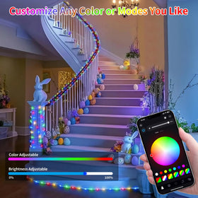Hozplex music sync lets lighting move with your playlist.