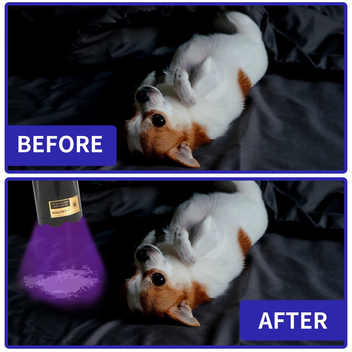 HSXMN UV Flashlight detects pet stains and guides cleaning