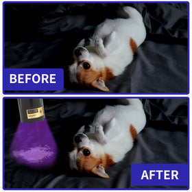 HSXMN UV Flashlight detects pet stains and guides cleaning
