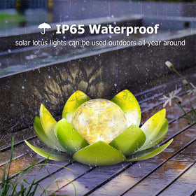 Huaxu IP65 waterproof lotus light withstands rain for year-round use.