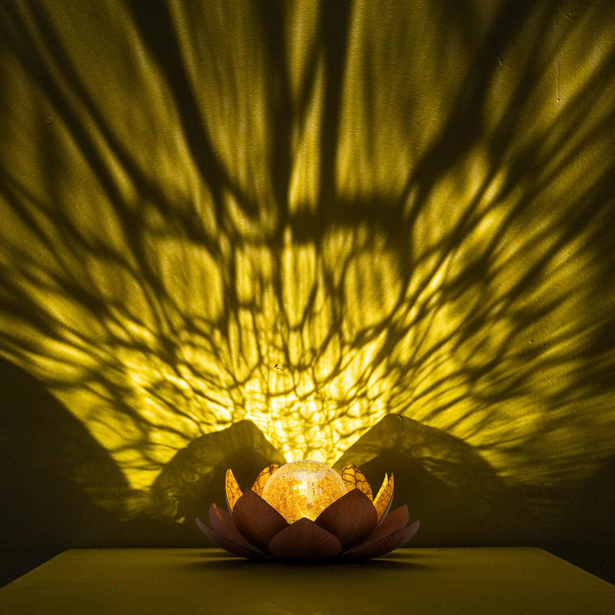 Huaxu Lotus Garden Light pathway view guides guests safely at night.