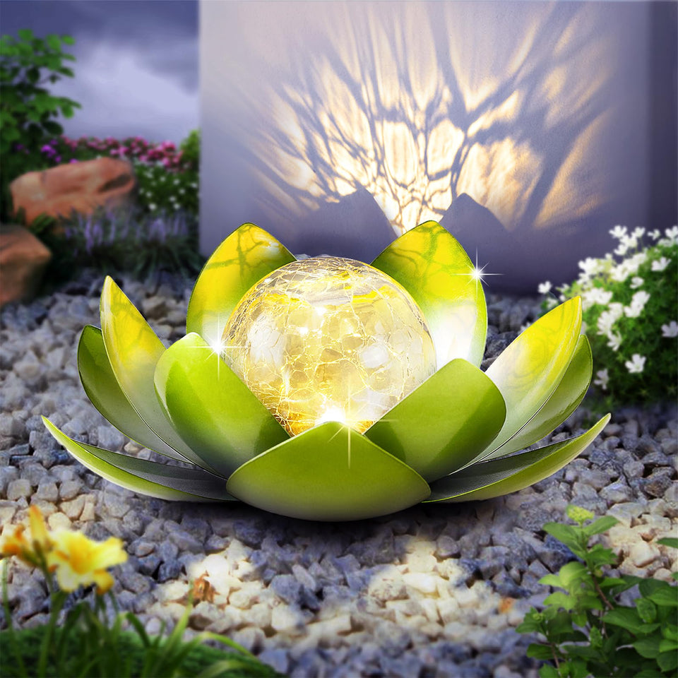 Huaxu lotus globe light for garden illuminates pathways with warm glow at night.