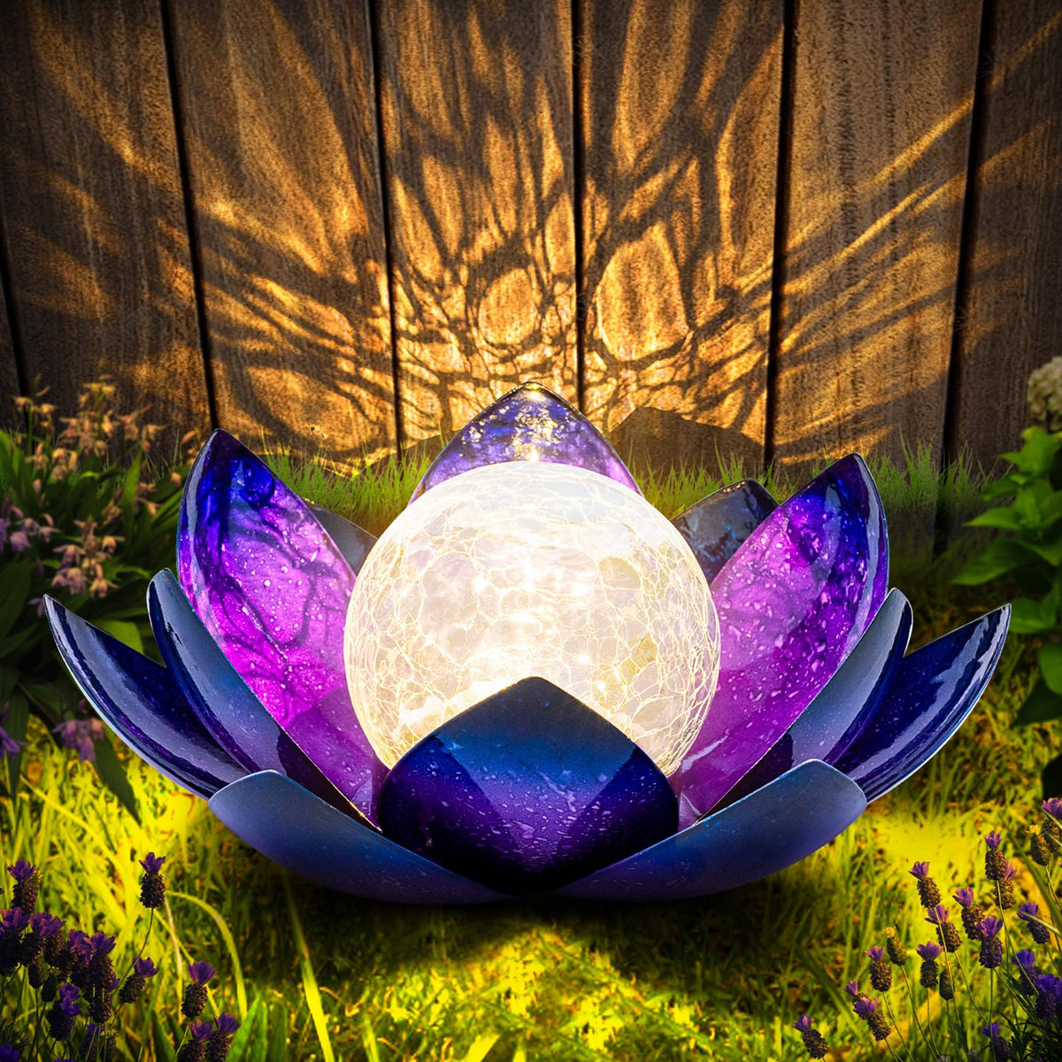 Huaxu Purple Lotus light glowing in the garden for day and night ambiance.