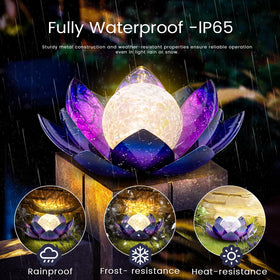 Huaxu Purple Lotus light on outdoor table enhances evening gatherings.