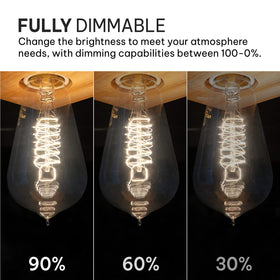 HUDSON BULB CO 2100K warm light creates cozy mood lighting.