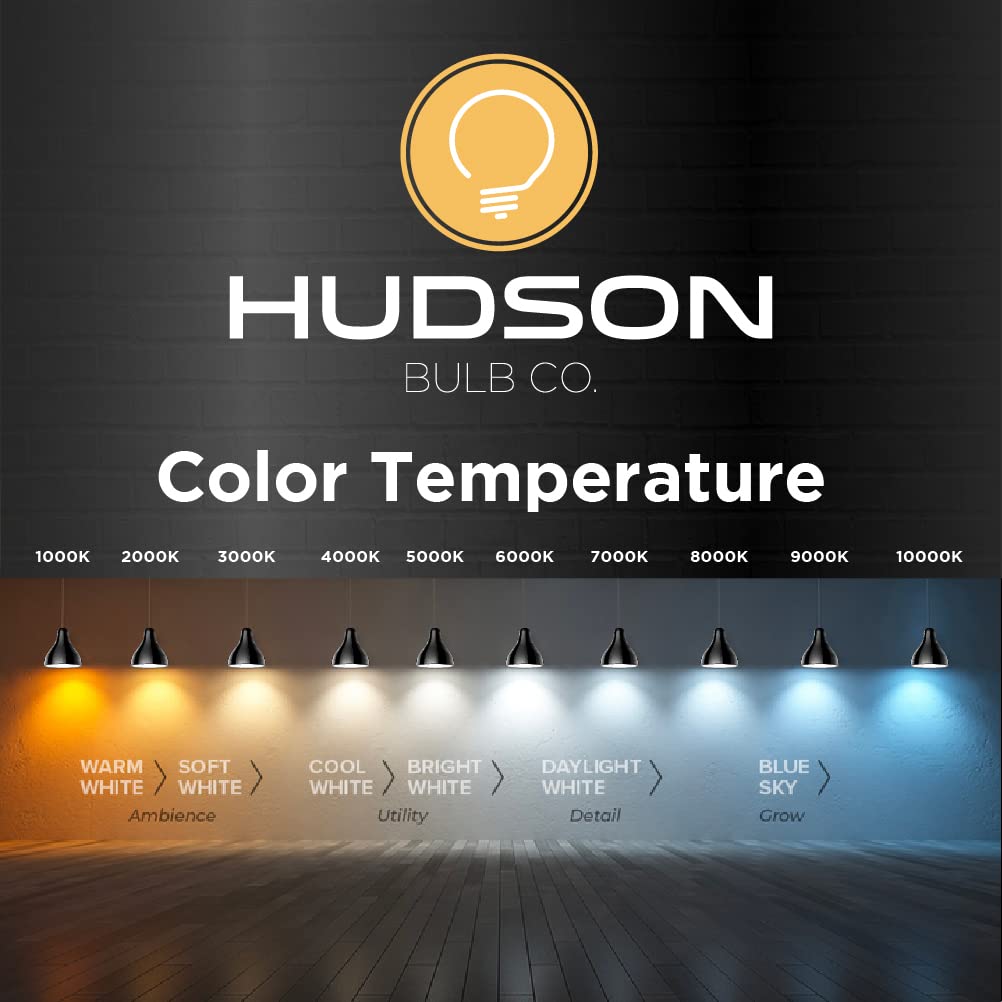 HUDSON BULB CO dimmable Edison bulb offers adjustable brightness.