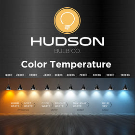 HUDSON BULB CO dimmable Edison bulb offers adjustable brightness.