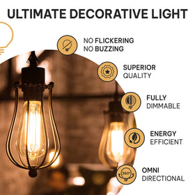 HUDSON BULB CO pendant fixture-ready bulb for chic ceiling lighting.