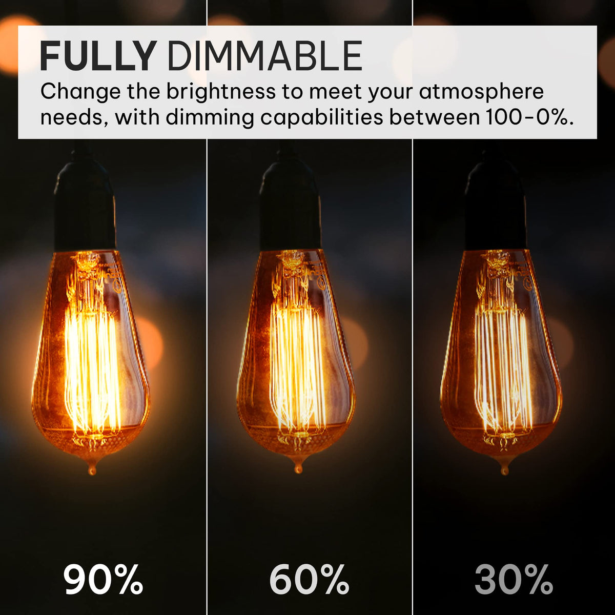 Hudson Bulb Co squirrel filament creates nostalgic ambiance with dimmable control.