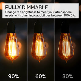 Hudson Bulb Co squirrel filament creates nostalgic ambiance with dimmable control.