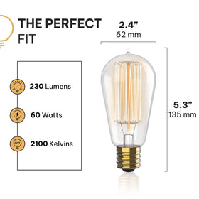 HUDSON BULB CO squirrel filament 60W glowing with nostalgic warmth