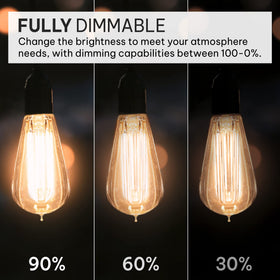 HUDSON BULB CO warm 2100K dimmable glow ideal for cozy dining
