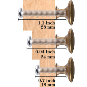 HUGOLEM brass round knob packaging shows 20 knobs and screws