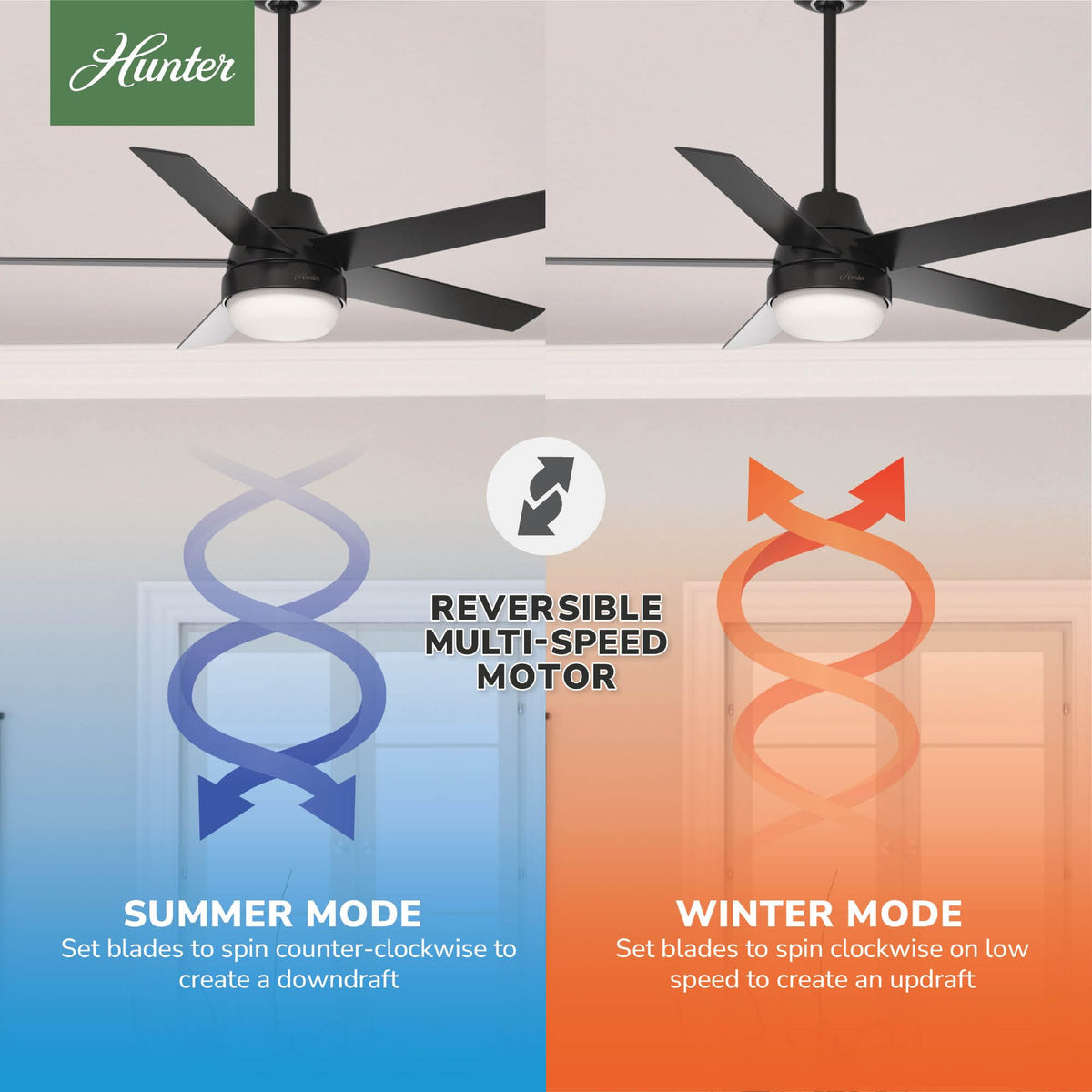 Hunter Aerodyne whisper-quiet motor supports peaceful year-round comfort.