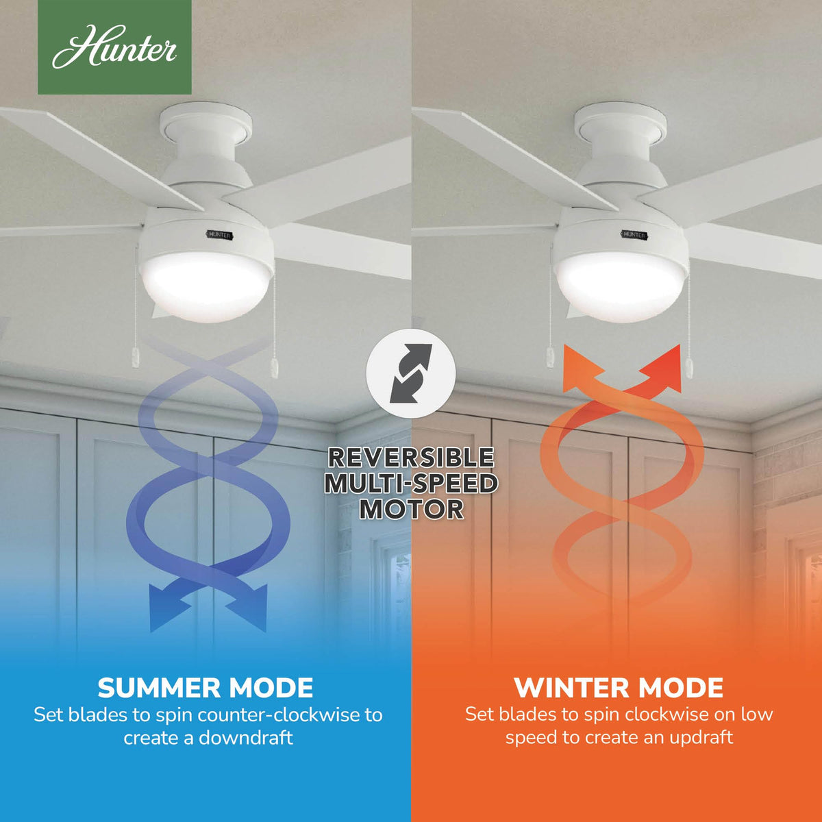 Hunter Anslee pull-chain control lets you adjust speed and light without needing a remote