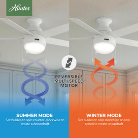 Hunter Anslee pull-chain control lets you adjust speed and light without needing a remote
