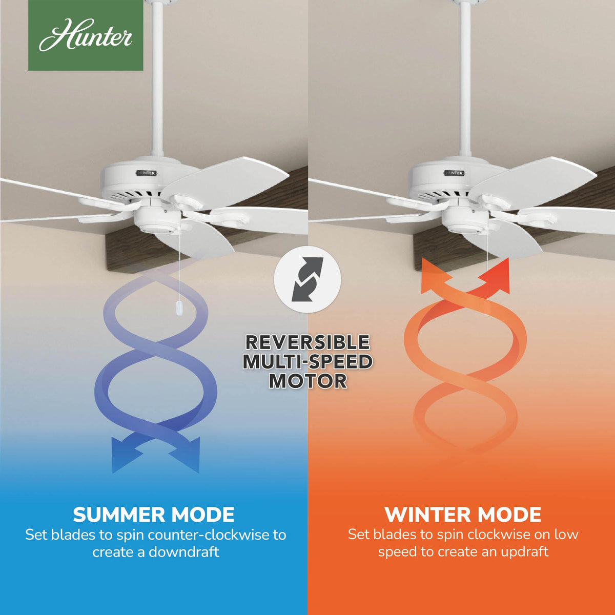 Snow white Hunter Builder Elite ceiling fan complements traditional interiors.