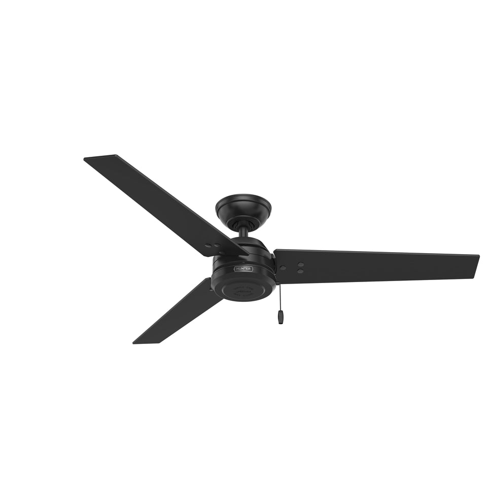 Hunter Cassius 52-inch blades provide wide airflow for living rooms and patios.