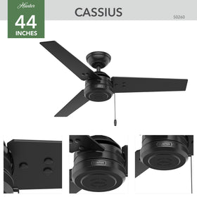 Adjustable mounting options on Cassius for standard, low, or angled setups.