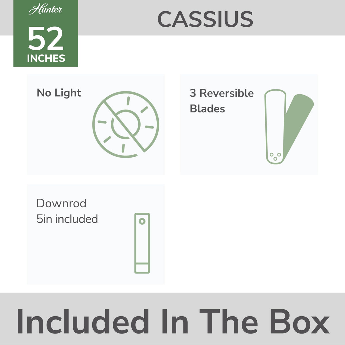 Hunter Cassius damp-rated outdoor design stands up to covered porches and garages.
