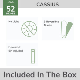 Hunter Cassius damp-rated outdoor design stands up to covered porches and garages.
