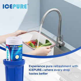 ICEPURE 2-pack replacement image promises cost-efficient maintenance.