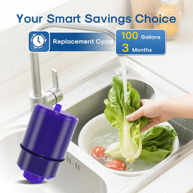 ICEPURE filter replacement for pfm150w pack ensures clean filtered water daily.