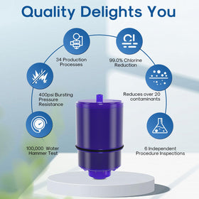 ICEPURE filter replacement for pfm350v pack delivers pure-tasting water.