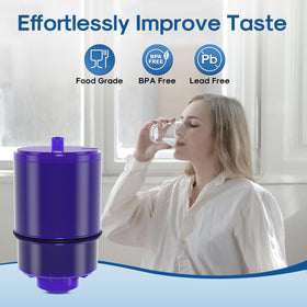 ICEPURE filter replacement for pfm450s pack enhances taste and maintains flow.