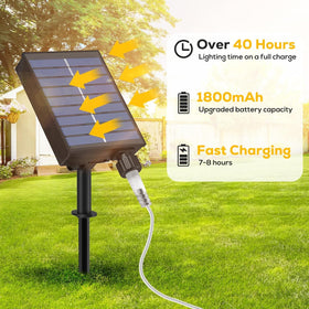 ICRGB solar panel and remote enable easy setup for ambient evenings.
