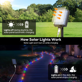 ICRGB lights are flexible in a protective tube, easy to shape for creative layouts.