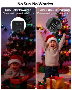 ICRGB Solar Rope Lights line garden paths with color and warmth for safe nighttime strolls.