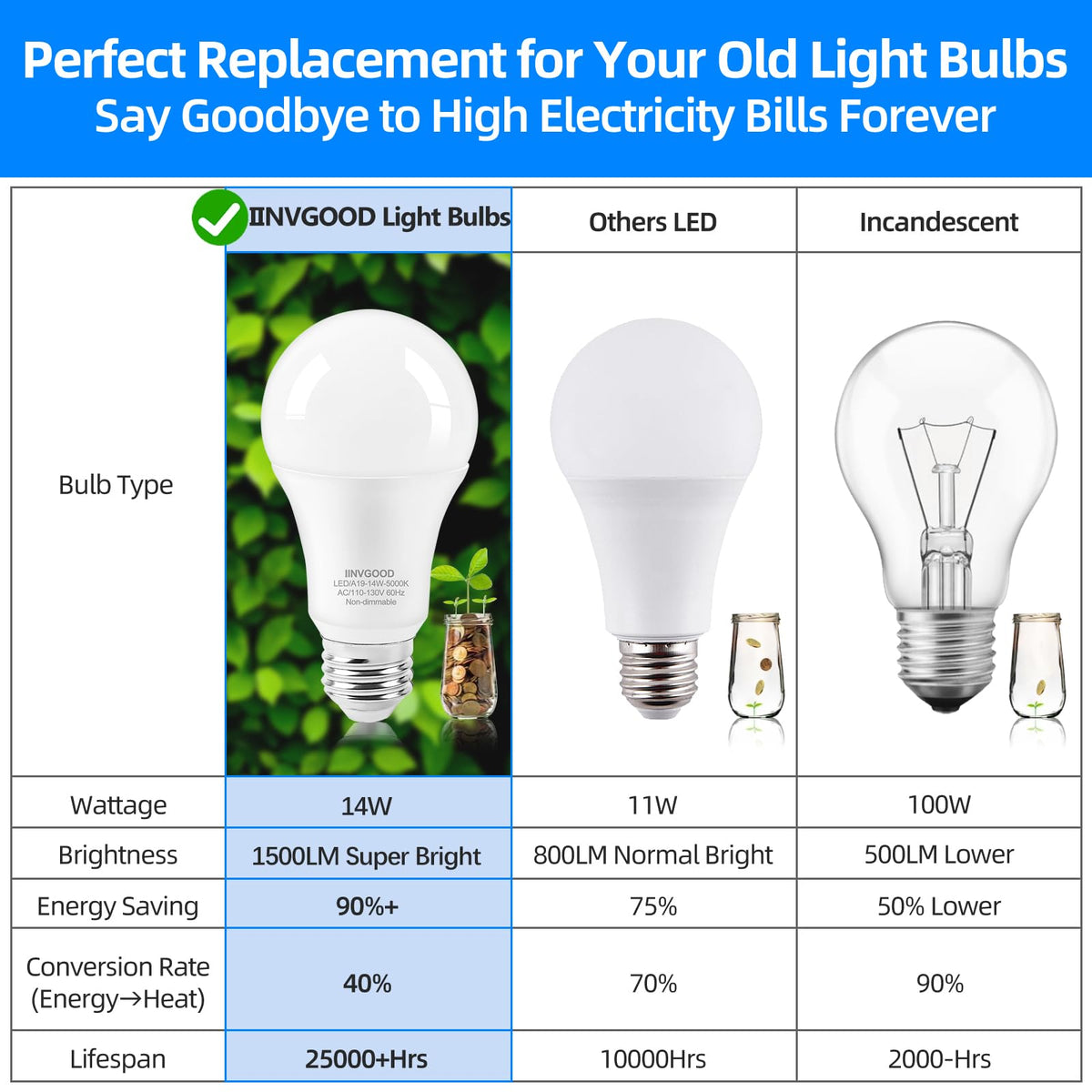 IINVGOOD CRI 90+ bulb highlights true colors in décor and photography.