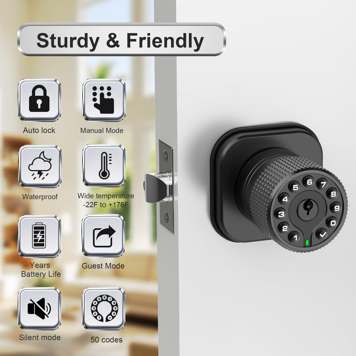 Rayhigher Keyless Entry Knob Lock with Keypad – Auto Lock, Waterproof, Easy Install