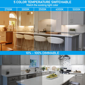 TORCHSTAR CRI90 600lm output renders colors vividly on food and surfaces