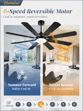 Fanbulous 62-Inch Ceiling Fan with Lights – Black, Remote, 8 Dual-Finish Blades