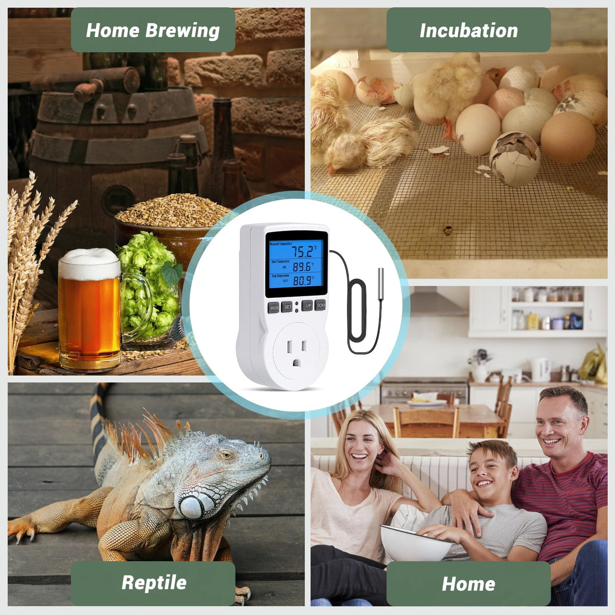 INKBIRDPLUS heating-cooling mode setup enabling adaptable climate regulation.