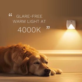Innofox hallway light guides you safely through corridors