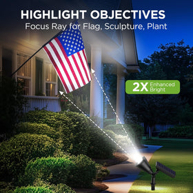 InnoGear tree spotlight highlights branches and texture on dark evenings.