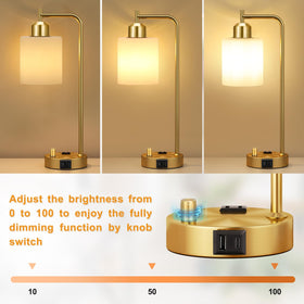 Innqoo Gold Lamp features opal shade for soft illumination.