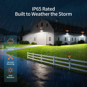 Intelamp IP65 weatherproof design protects against rain and dust.